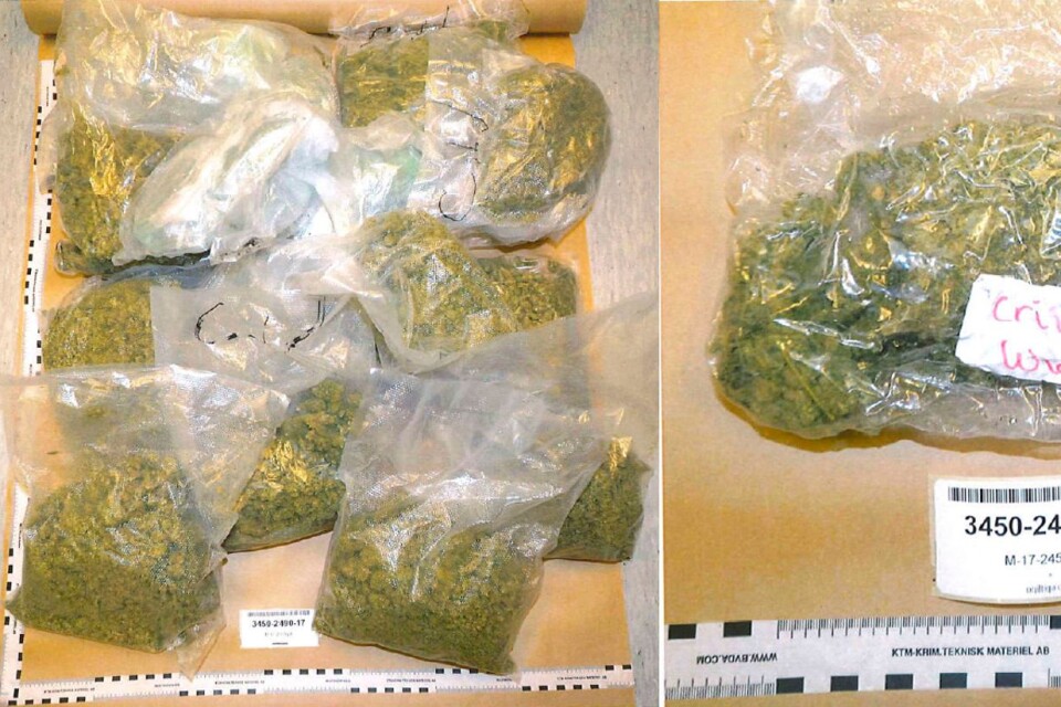 Delar av det stora beslaget av cannabis som hittades i den 36-årige mannens bil.