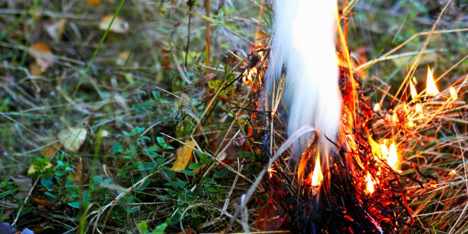 SMHI: Stor risk för gräsbrand – iaktta försiktighet vid eldning