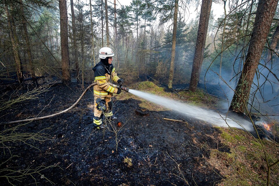 Skogsbrand på Åbumosse mellan Verum-Jägersborg utanför Hästveda. Karolina Madsen från Räddningstjänsten i Önneköp släcker i skogen.