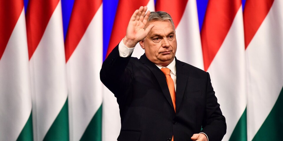 Orbáns brev till mig säger mycket om politik han står för