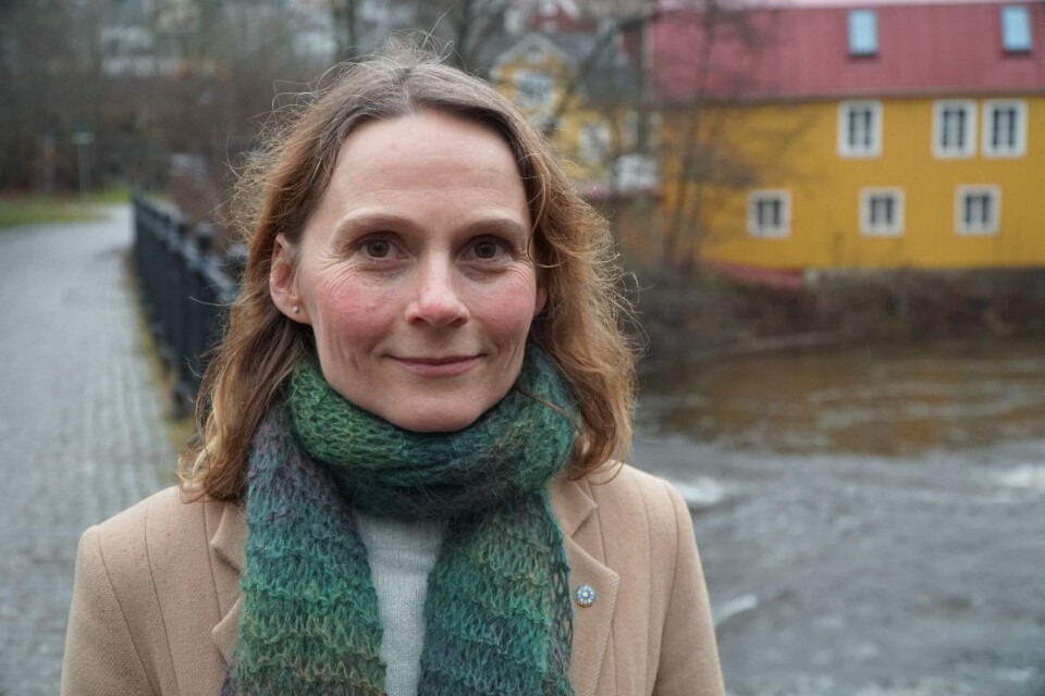 Maria Engstrand från Borås är tillbaka med ett nytt barnboksmysterium.