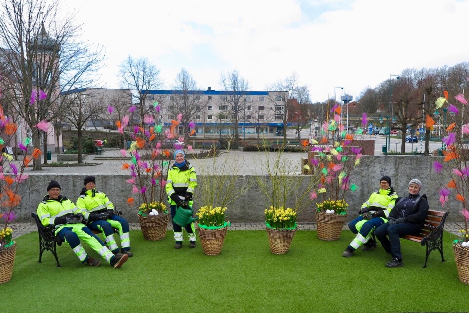 Parkenhetens medarbetare har byggt upp en tillfällig påskträdgård på Ronneby torg för förbipasserande att slå sig ner och njuta av.