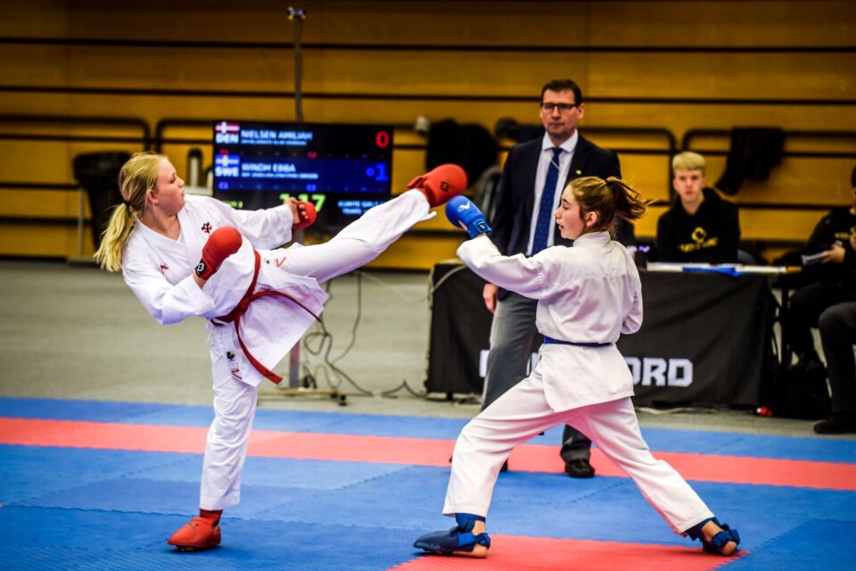 Tidigare har ungdomsledare inom bland annat karate fått priset.