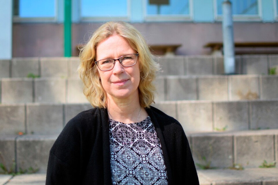Ann-Zofie Duvander, professor i demografi vid Stockholms universitet.