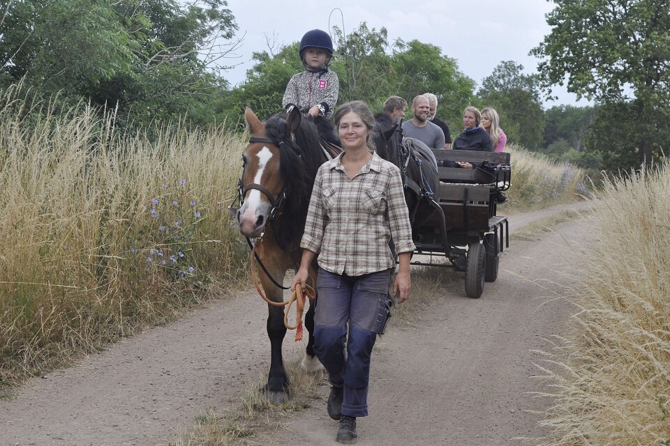Under hela helgen finns hästtaxi som transporterar besökarna mellan de olika besöksmålen i Dyestad.