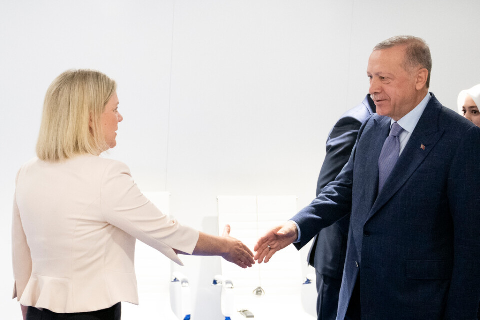 Sveriges statsminister Magdalena Andersson och Turkiets president Recep Tayyip Erdogan möts för samtal inför Natoländernas stora toppmöte.