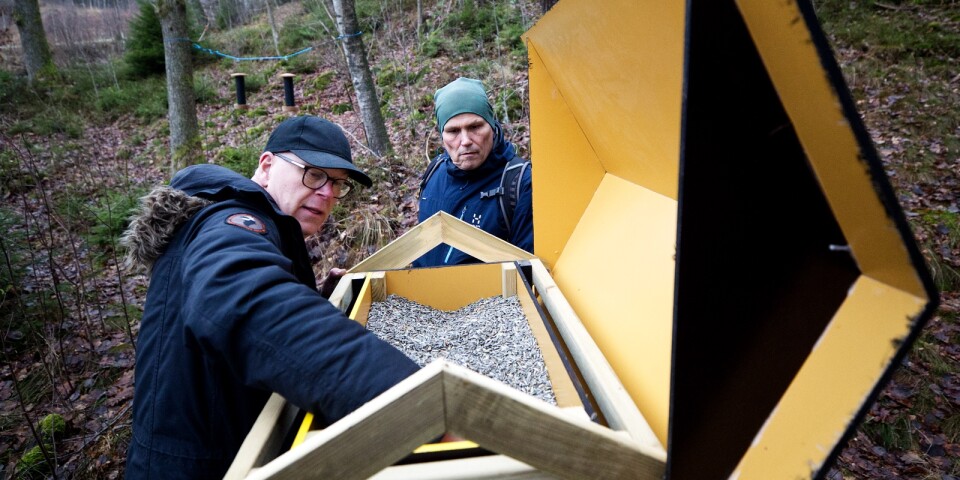 Niklas Tellbe och Johan HP Johansson visar nya fågelmatningen på Rya åsar samt tipsar om vilket forder man ska satsa på till fåglarna när kylan slår till.