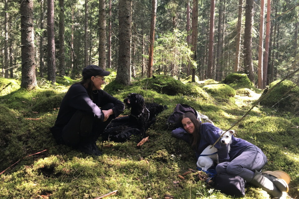 Malin Arnell och Åsa Elzén har arrenderat skog för att rädda den. Pressbild.