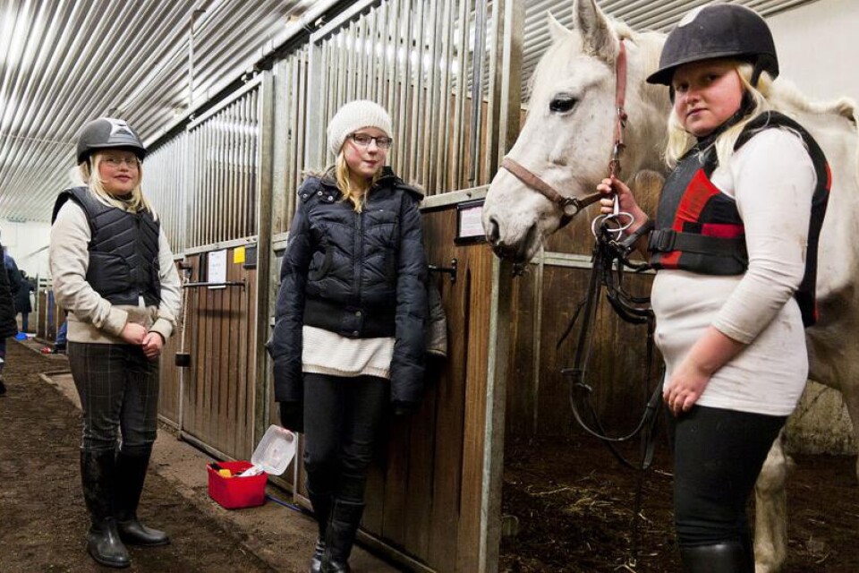 Lisa och Annie Landström med en kompis i mitten tar hand om hästen Madam inför en väntande lektion.