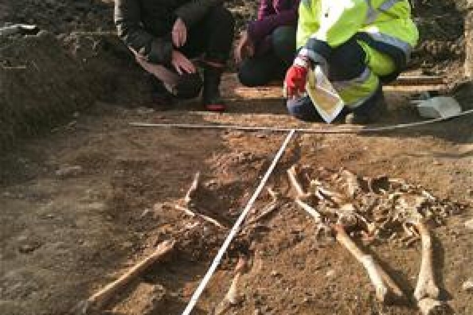 Två skelett, det högra omgivet av kistspikar. Ystads kommuns byggnadsantikvarie Inger Åhlin (till vänster) och planarkitekt Anna Möller blir informerade av arkeolog Nathalie Becker.