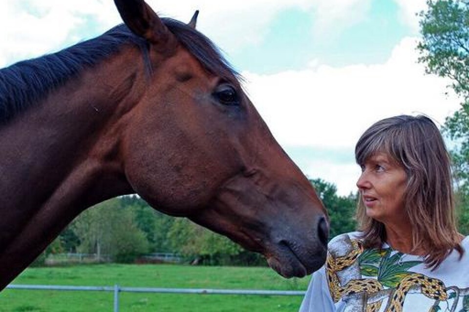 Ann Michanek har ett speciellt förhållande till hästarna och kan läsa av deras behov. bild: GERD CRONESTÅL