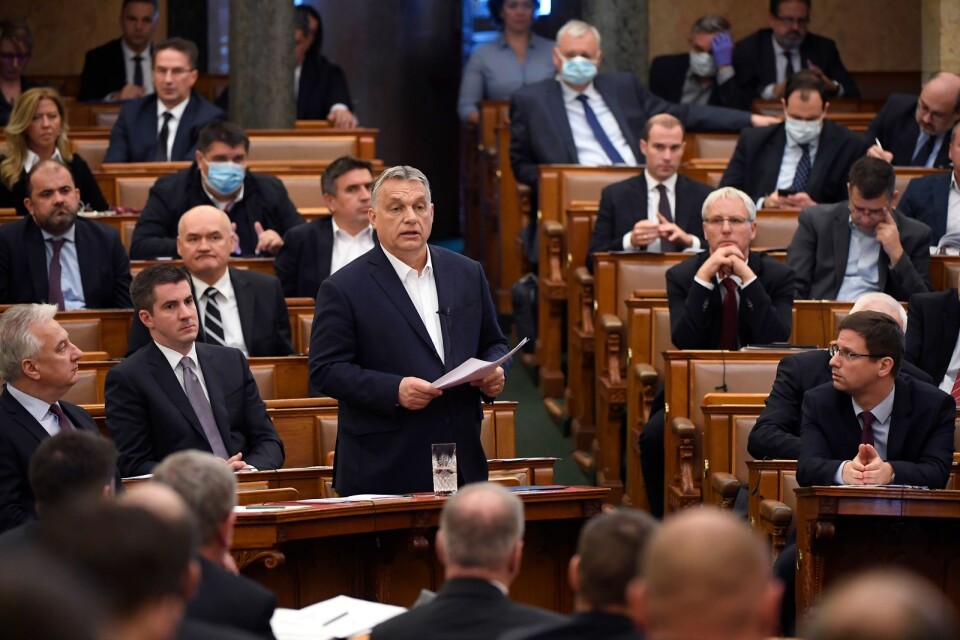Viktor Orban talar i det ungerska parlamentet.