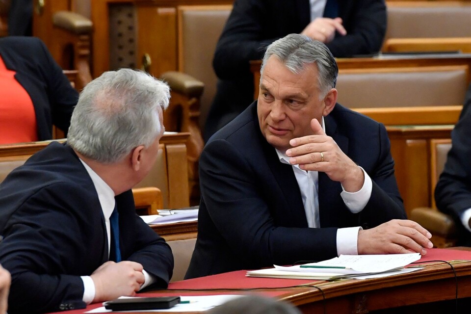 Ungerns premiärminister Viktor Orban i samtal med sin partikollega Zsolt Semjen i samband med att parlamentet röstade för undantagslagar som ger regeringen möjlighet till direktstyre.