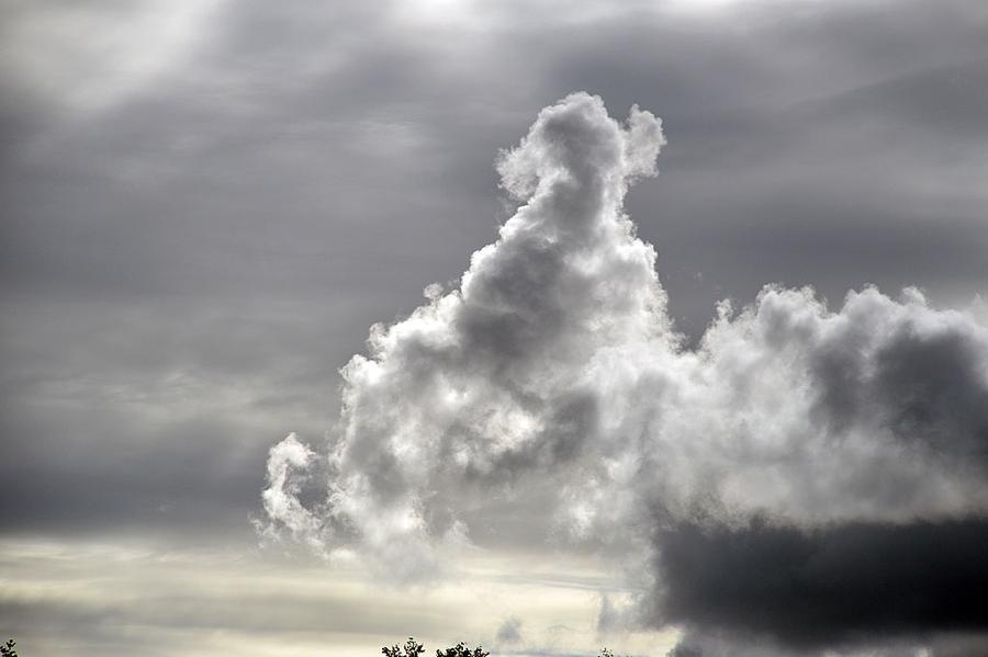 Bertil Rydh tog den här bilden från sin altan i Öxabäck. Han tycker molnet ser ut som en hund. Så visst är det sant att man kan ta med hunden in i himlen!