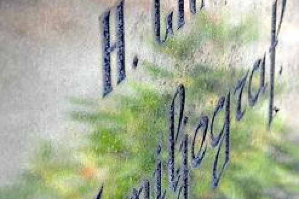 "H Grafs familjegraf" står det på gravstenen. Men därunder inget dödsår, ingenting.