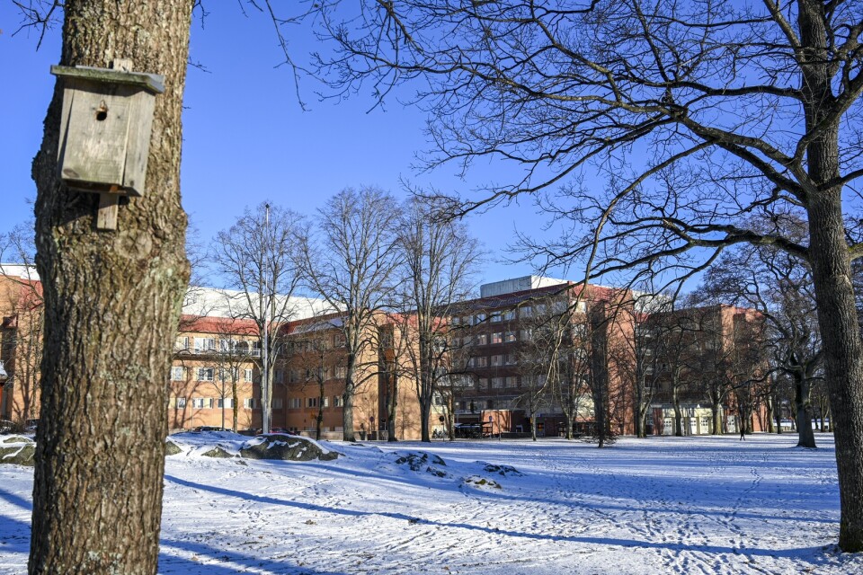 Strandbjörket i Växjö med sjukhuset i Växjö i bakgrunden.