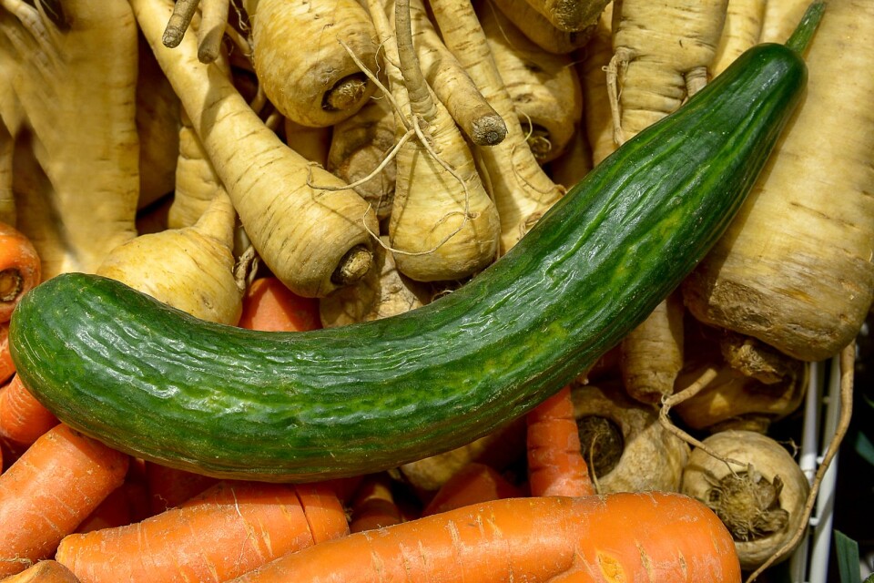 Genom att ta tillvara kasserade grönsaker man kan producera mer biogas.