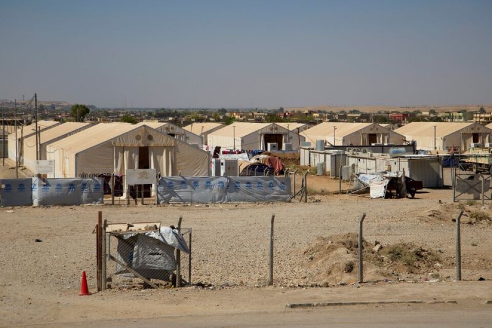 1300 kvinnor och barn som uppges tillhöra familjer till IS-krigare har omhändertagits i ett läger utanför Mosul.