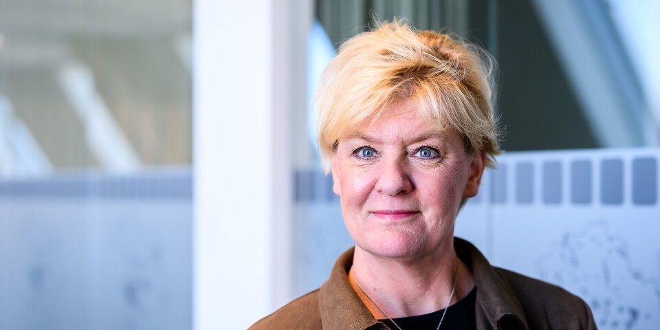 Monica Skagne slutade som kommunchef i Växjö i februari i år.