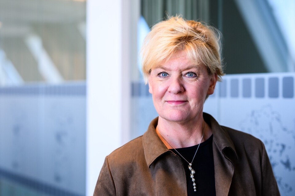 Monica Skagne slutade som kommunchef i Växjö i februari i år.