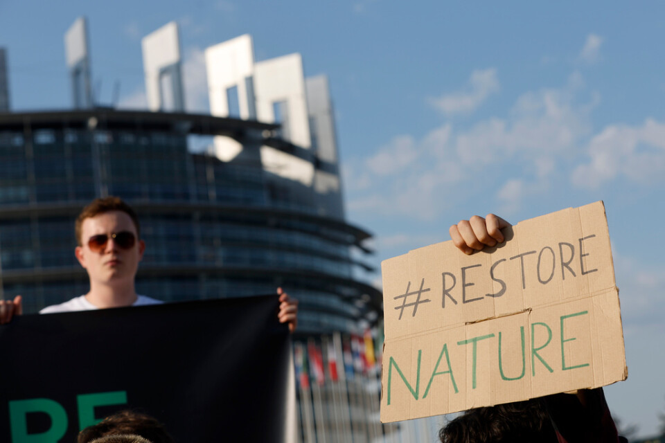 Klimataktivister demonstrerar i Strasbourg inför onsdagens omröstning om förslaget till naturrestaureringslag.