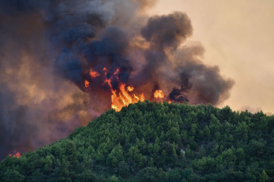 Extremvärme och skogsbränder har härjat och härjar, också i Europa. Bilden från en skogsbrand i Grekland i söndags.