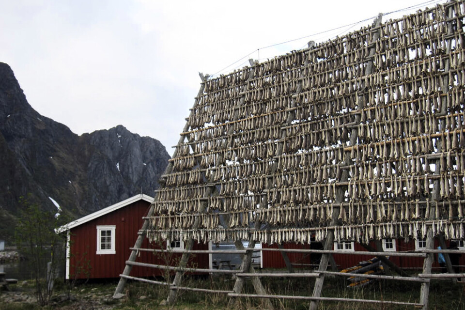 Norsk ekonomi växer oväntat snabbt, bland annat tack vare ett lyft för fisket. Arkivbild