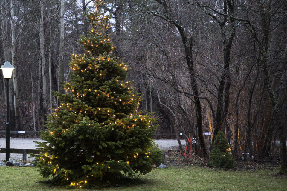 Bereden väg för mildväder. Stora delar av Sverige kommer att få fira en grå jul i plusgrader. Arkivbild.
