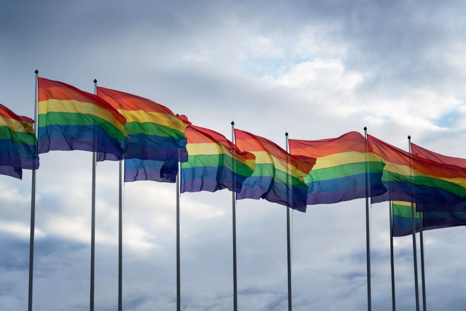 Till slut fick prideflaggan hissas under Bollebygd pride. Men nu ifrågasätts flaggan av SD i Ulricehamn. Genrebild.