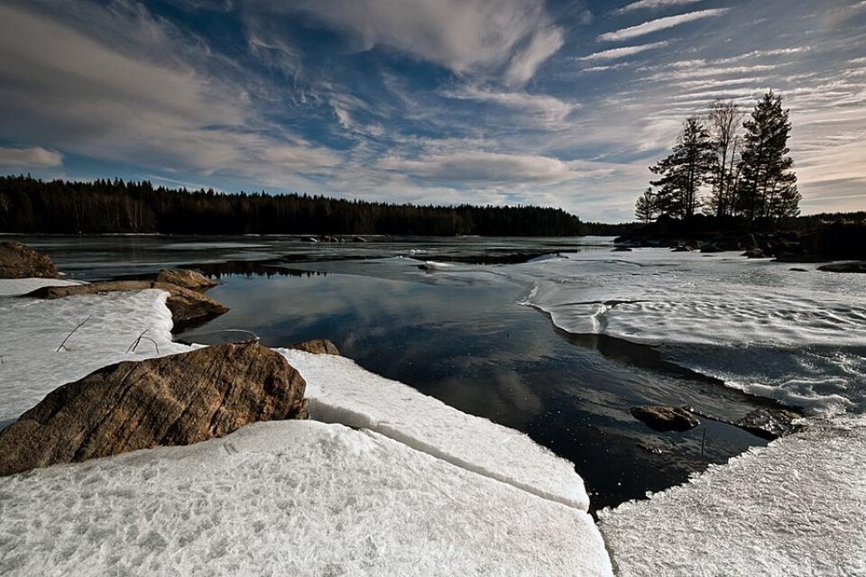 Den här bilden tog Peo Bolander med en Nikon D300 s under en promenad runt Storsjön, Rydboholm.