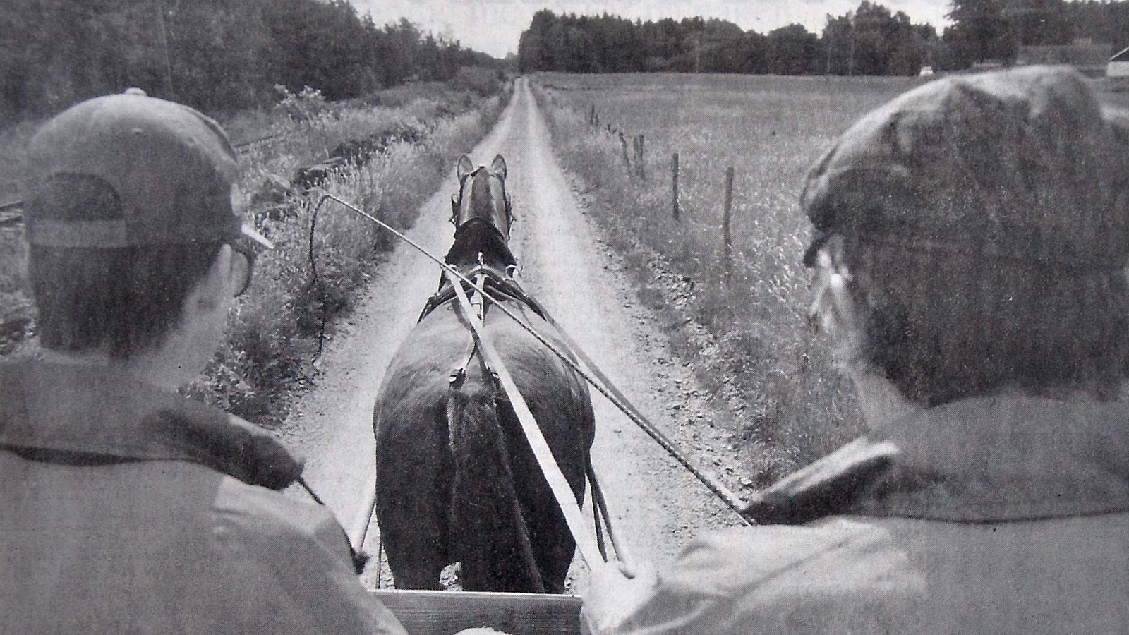 En behaglig åktur med häst och vagn.
Arkiv: Åke Ljungberg