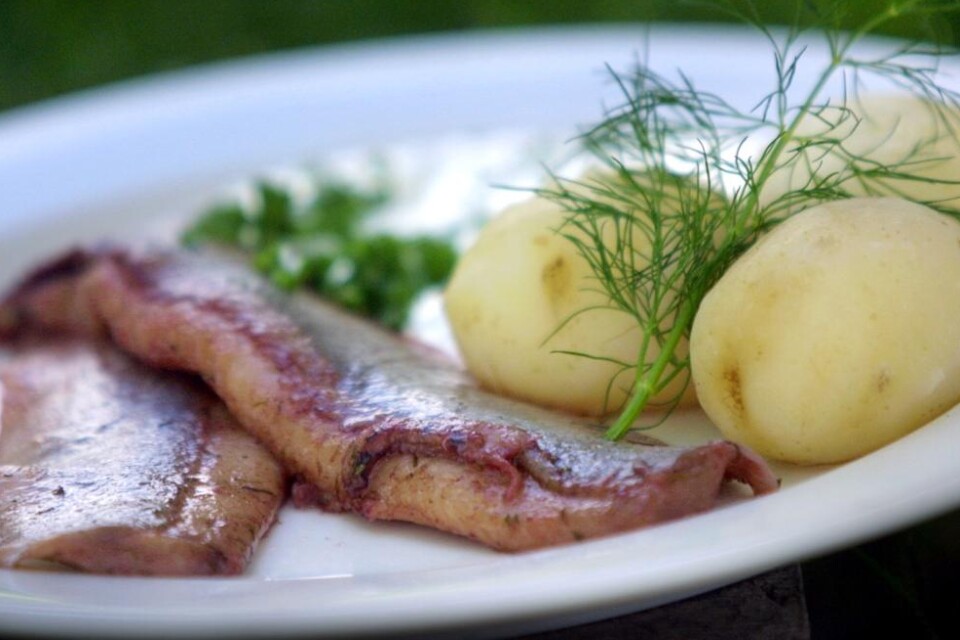 Pickled herring and boiled new potatoes are a must at midsummer.