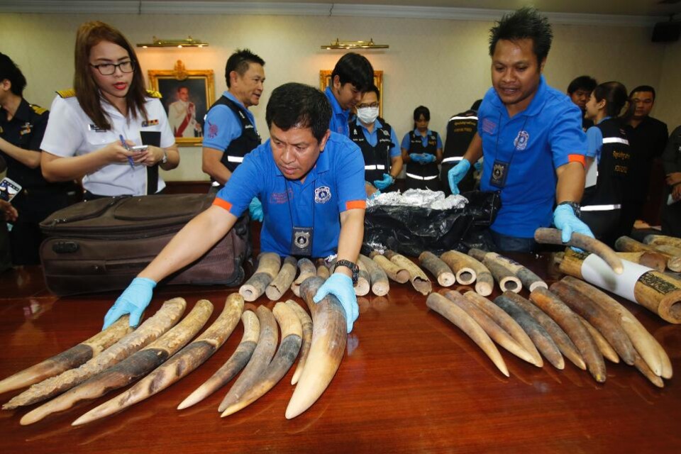 Thailändska tulltjänstemän har beslagtagit 250 kilo elfenben som gömts i lådor för transport från Afrika till Asien. De 130 betarna hade packats ner i resväskor som sedan stoppats i trälådorna som var märkta \"marmorbitar\". Transporten stoppades på flyg