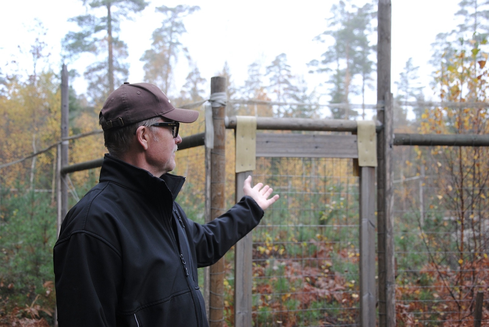 Stig Lundstöm gör försök med hägn, för att se skillnaderna mellan hur skogen växer i och utanför hägnet. FOTO: SUSANNE GÄRE