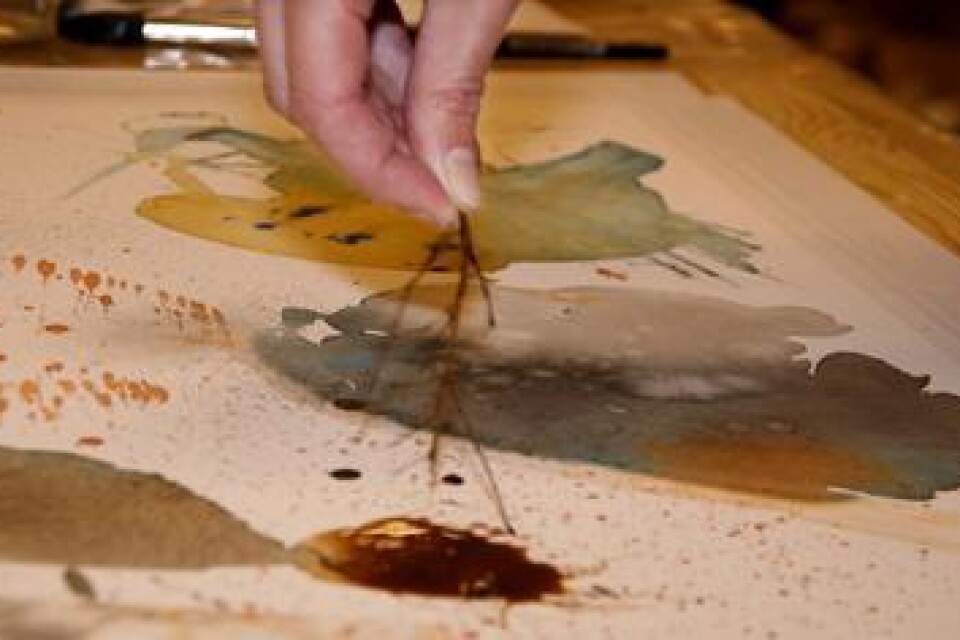Experimentell akvarell kan innebära att man arbetar med grenar eller papperstussar vid sidan av penslarna eller strör salt i färgen för att få nya effekter.