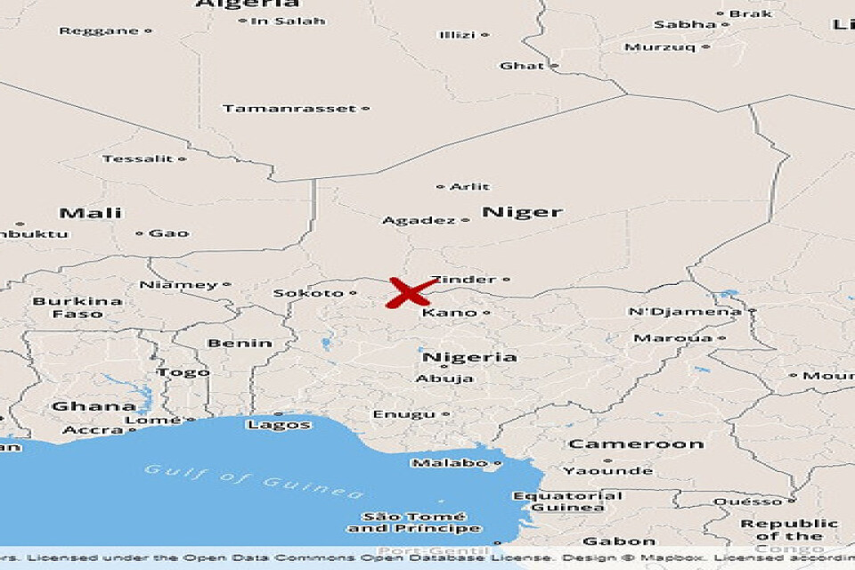 Minst elva personer drunknade när en båt kapsejsade i södra Niger.