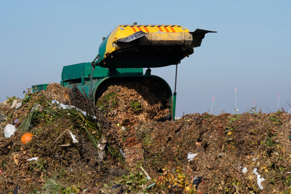 Organiskt avfall lastas av i Woodland i Kalifornien.