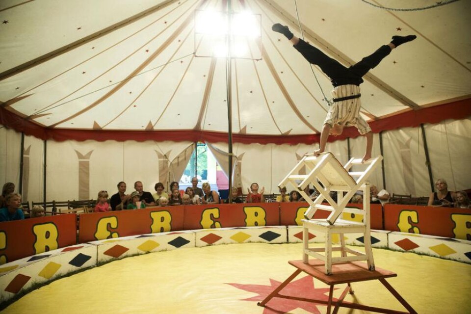 Balanskonster i den högre skolan bjuds det i cirkustältet på Mårdslycke camping.