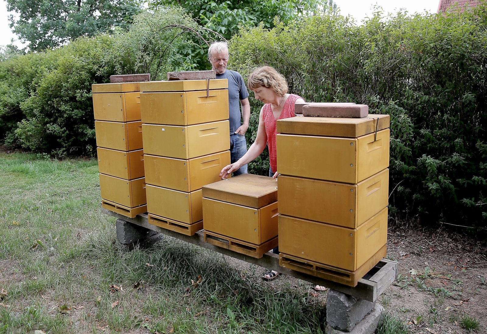 Bo Arvidsson och Stella Arvidsson har en biodling i trädgården sedan tre år tillbaka. I år har de slungat ungefär 30 kilo honung som de säljer till vänner och bekanta. 
FOTO: STEFAN SANDSTRÖM
