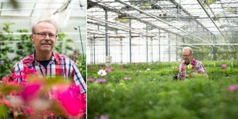 Handelsträdgården säljs efter 43 år – Fredrik: ”Någon som vill odla”
