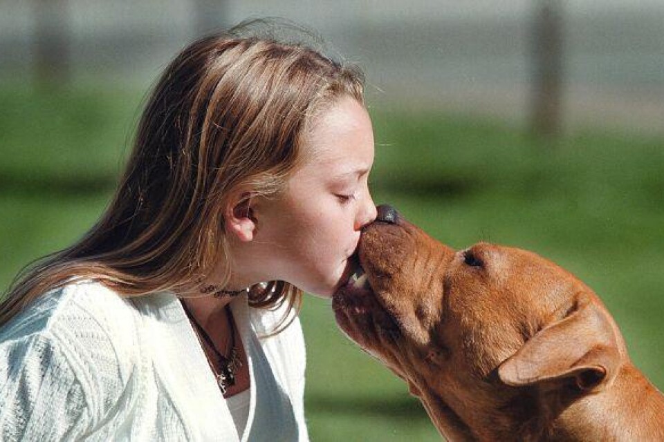 Att pussa sitt husdjur verkar inte många barn tycka är läskigt. Det kan vara värre med en pojke eller flicka i skolan.¬Foto: Pressens Bild/Arkiv