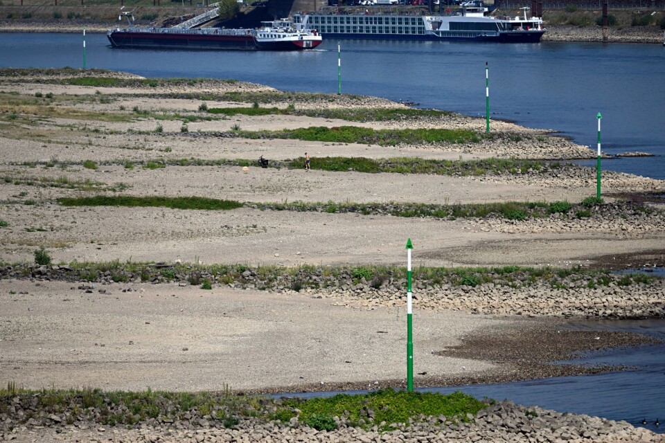 Historiskt låga vattennivåer på floden Rhen efter veckor av torka.