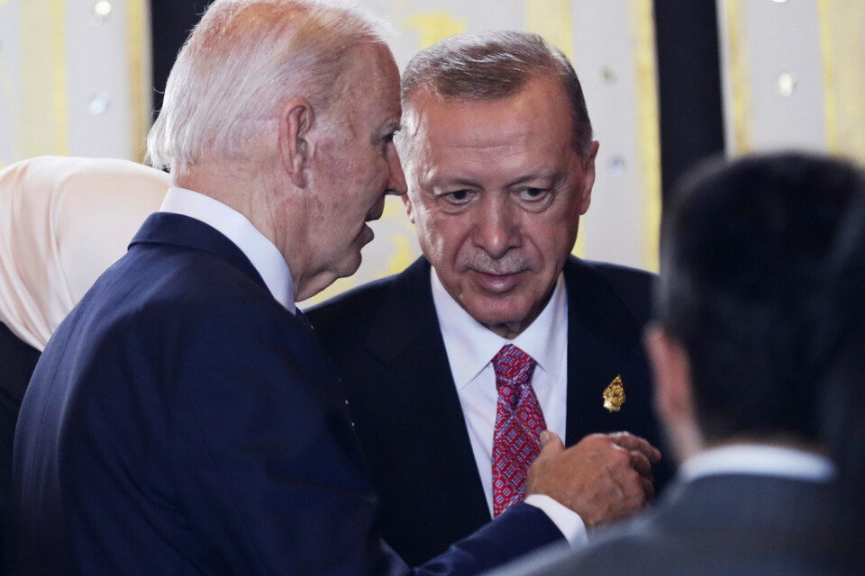 USA:s president Joe Biden ska träffa Turkiets president Recep Tayyip Erdogan på Natotoppmötet på tisdagen. De av turkarna åtråvärda F16-stridsplanen står på agendan, enligt medieuppgifter. Arkivbild.