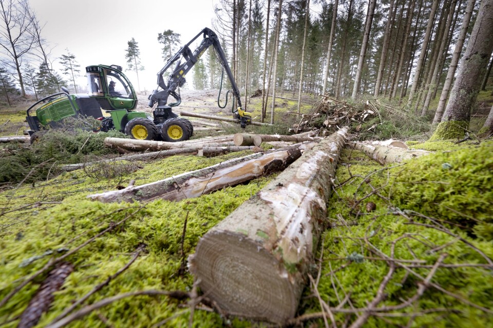LRF är kritiska till regeringens saktfärdighet kring skogen. På bilden en skogsdag i regi av Vittsjö LRF tidigare i april.