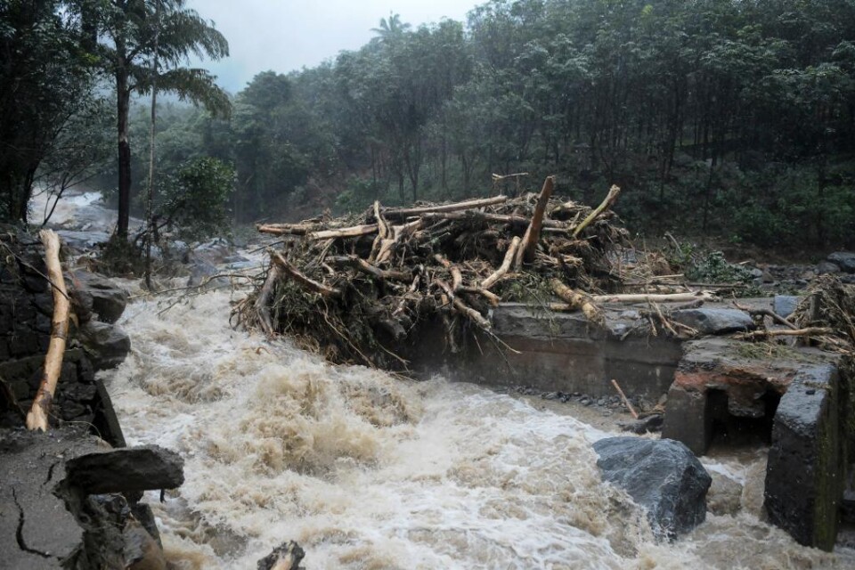 Antalet dödsoffer till följd av de kraftiga monsunregnen i delstaten Kerala har rusat upp till över 300, varav ungefär hälften har mist sina liv sedan den 9 augusti, uppger myndigheter i Indien. Vattenmassorna har tvingat närmare 150 000 människor från