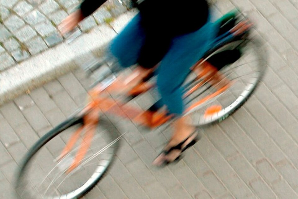 Cykla utmed Sjuhäradsleden och studera konstverk.