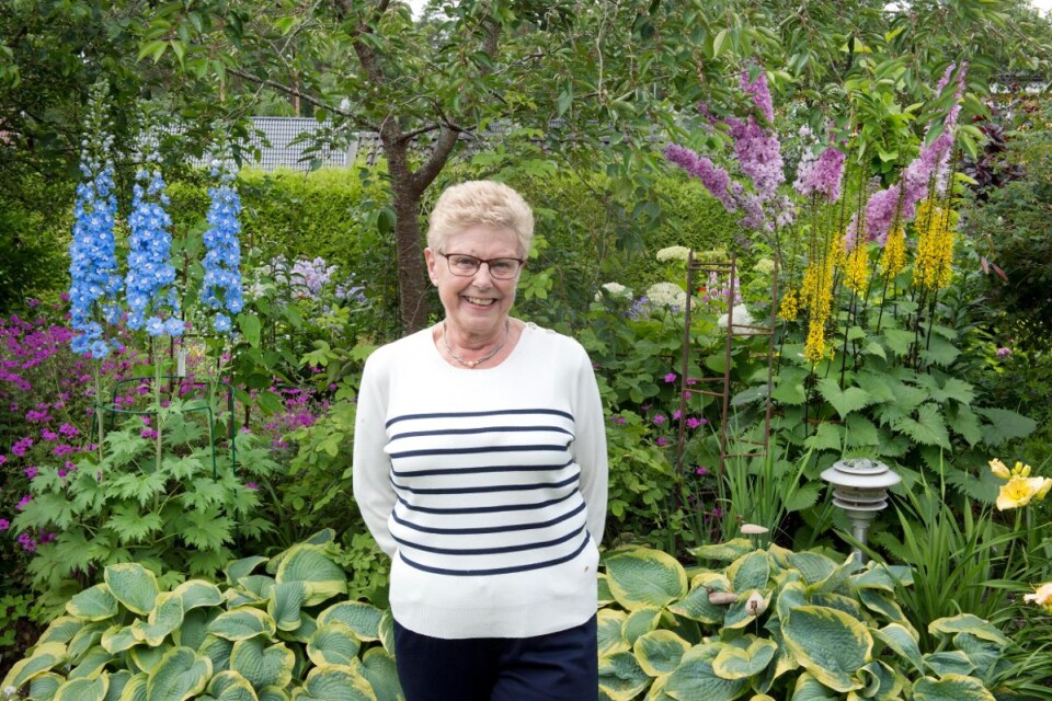 Brita Karlsson har jobbat med sin trädgård i 18 år. Foto: Urban Nilsson