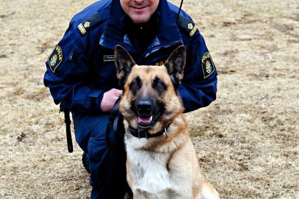 Mix: 3 år, blandras schäfer/malinois, patrullhund som kommer att utbildas mot vapensök. Hundförare är Thomas Pettersson.