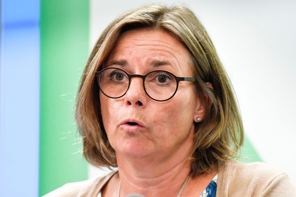 Sveriges klimatminister Isabella Lövin (MP) behöver förstå värdet av kostnadseffektivitet