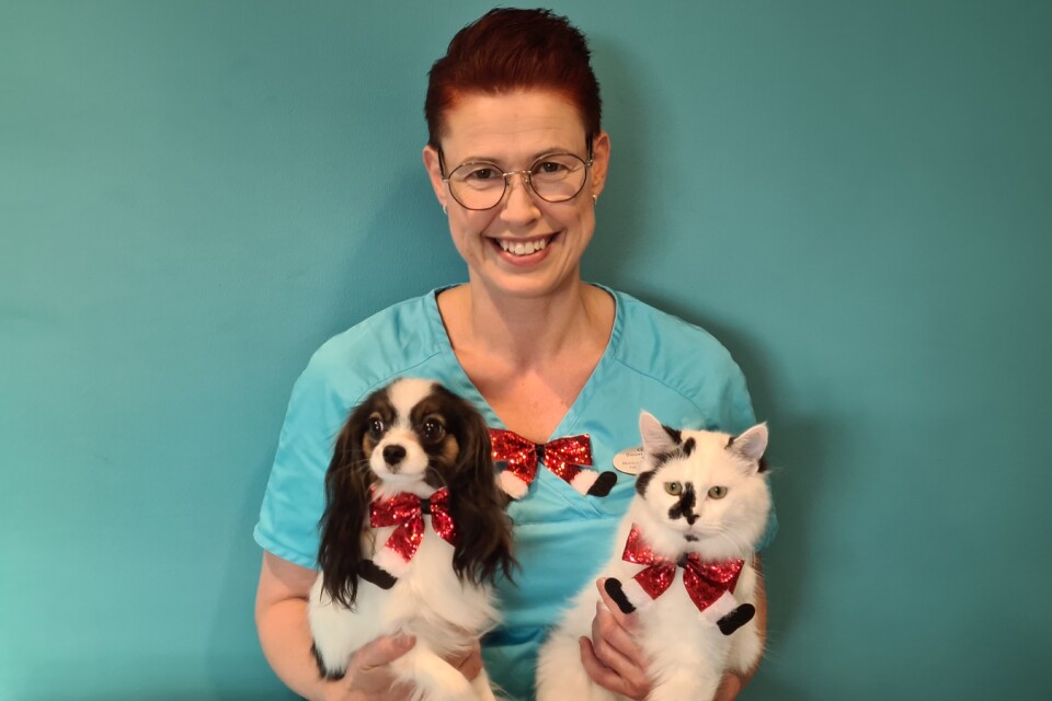 Veterinären Monica Landström från Ögonstenens djurklinik med katten Pixie och hunden Tesla.